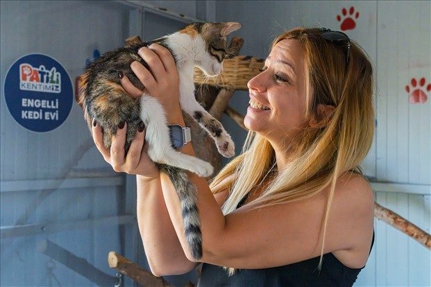 İzmir'de Engelli Kedi Evi Açıldı