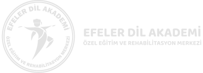 Özel Efeler Dil Akademi Özel Eğitim ve Rehabilitasyon Merkezi