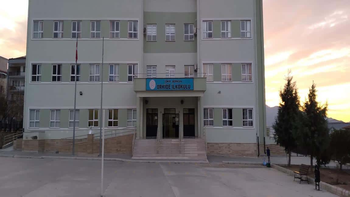 Orkide İlkokulu